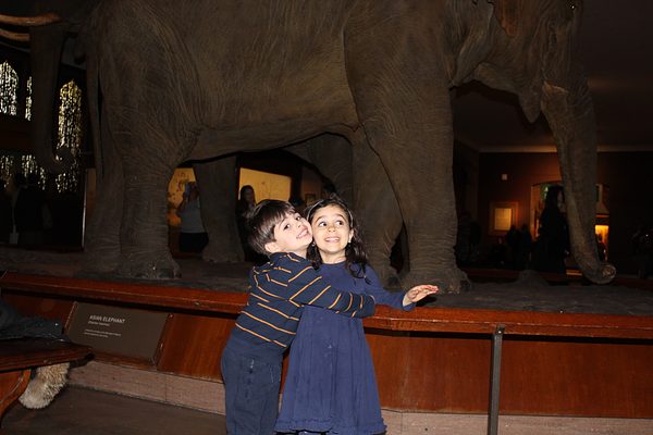 Lampousa Visit to Museum of Natural History photo 12