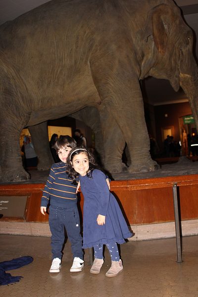 Lampousa Visit to Museum of Natural History photo 13