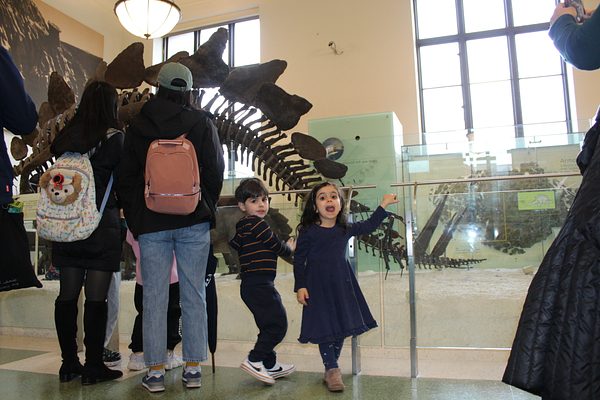 Lampousa Visit to Museum of Natural History photo 17