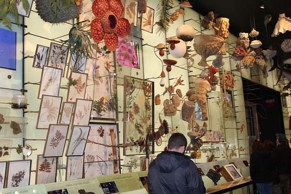 Lampousa Visit to Museum of Natural History photo 31