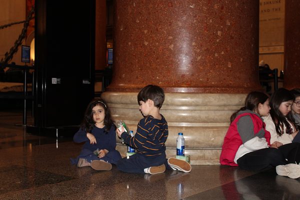 Lampousa Visit to Museum of Natural History photo 27