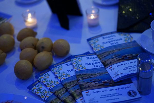 The Lemon Dance 2018 photo 3