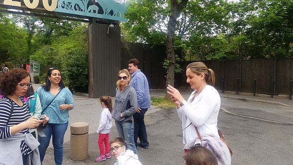 Trip to the Bronx Zoo photo 9