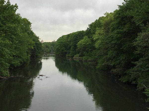 Trip to the Bronx Zoo photo 2