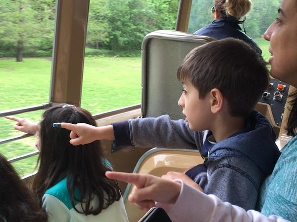 Trip to the Bronx Zoo photo 3