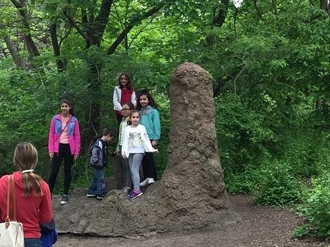 Trip to the Bronx Zoo photo 6