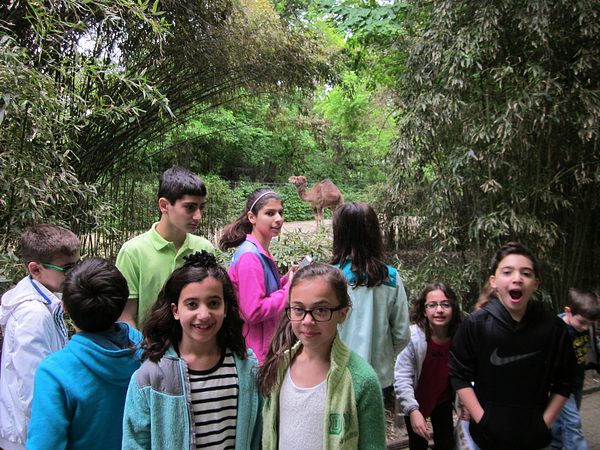 Trip to the Bronx Zoo photo 14