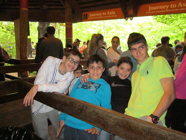 Trip to the Bronx Zoo photo 20