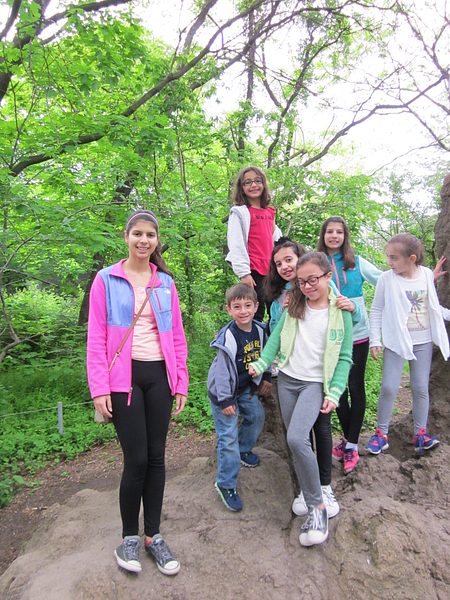 Trip to the Bronx Zoo photo 19