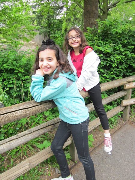 Trip to the Bronx Zoo photo 24