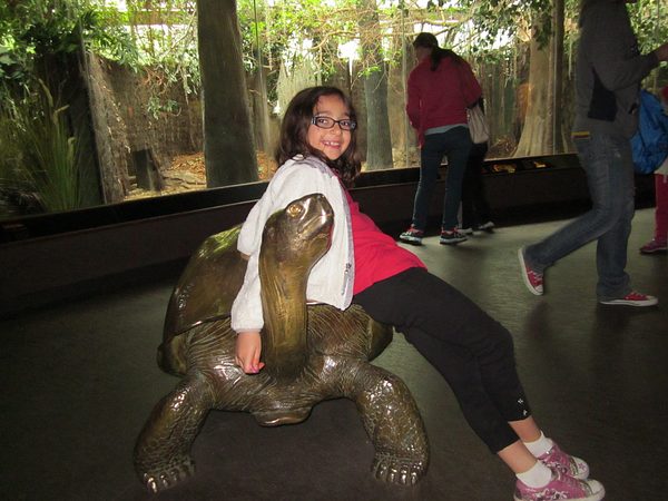 Trip to the Bronx Zoo photo 40