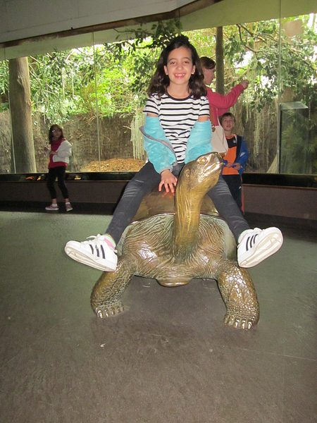 Trip to the Bronx Zoo photo 41