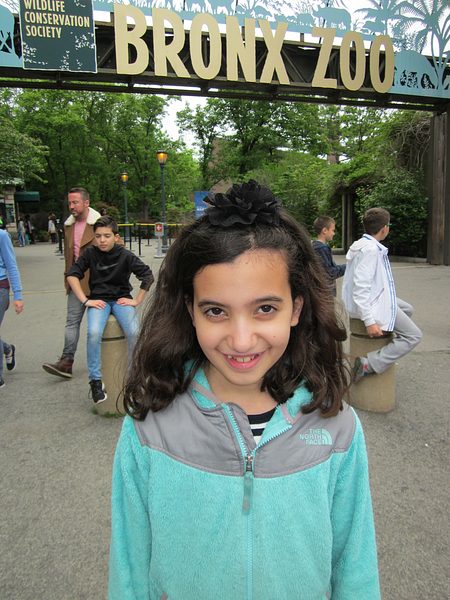 Trip to the Bronx Zoo photo 35