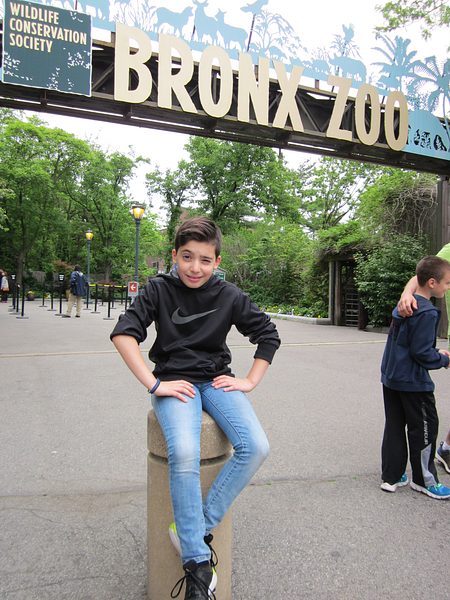 Trip to the Bronx Zoo photo 34