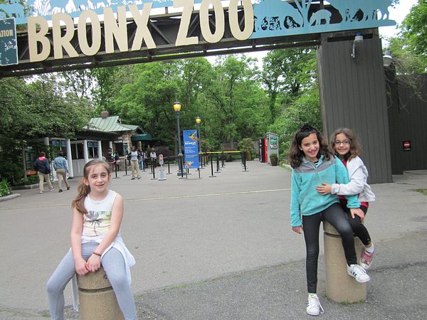 Trip to the Bronx Zoo photo 33