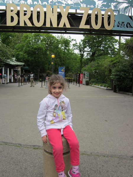Trip to the Bronx Zoo photo 28