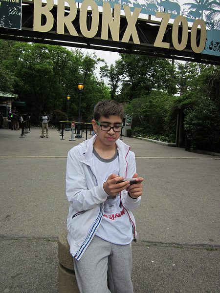 Trip to the Bronx Zoo photo 32