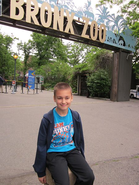 Trip to the Bronx Zoo photo 31