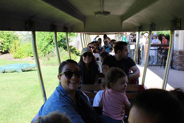 Turtle Back Zoo Outing with Dance Group photo 21