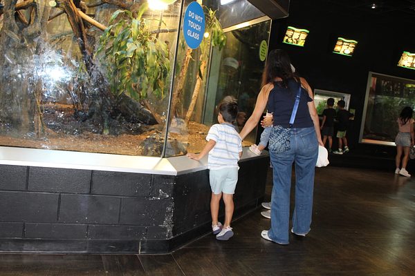 Turtle Back Zoo Outing with Dance Group photo 30