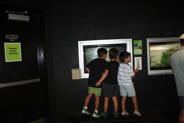 Turtle Back Zoo Outing with Dance Group photo 32