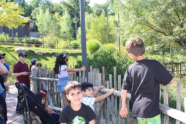 Turtle Back Zoo Outing with Dance Group photo 44