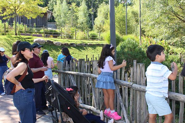 Turtle Back Zoo Outing with Dance Group photo 45