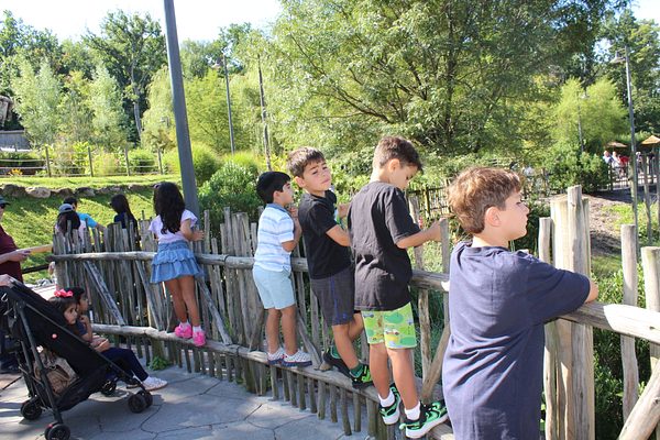Turtle Back Zoo Outing with Dance Group photo 47