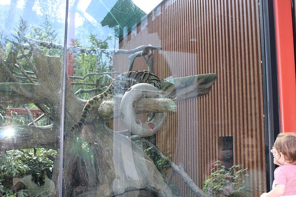 Turtle Back Zoo Outing with Dance Group photo 77