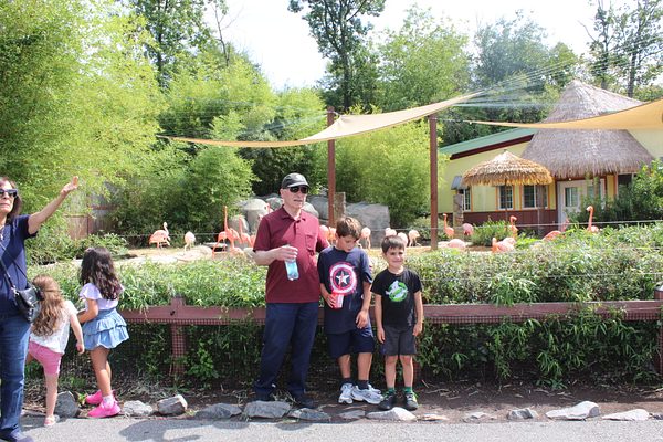 Turtle Back Zoo Outing with Dance Group photo 91