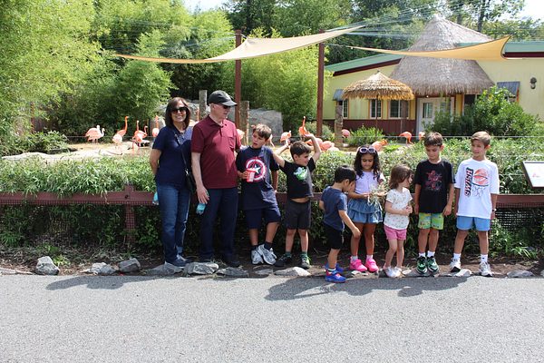 Turtle Back Zoo Outing with Dance Group photo 95