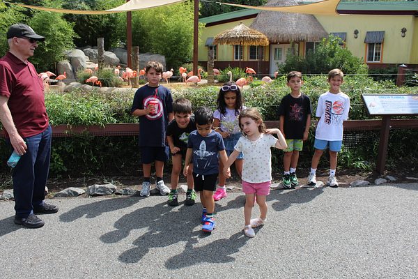 Turtle Back Zoo Outing with Dance Group photo 97