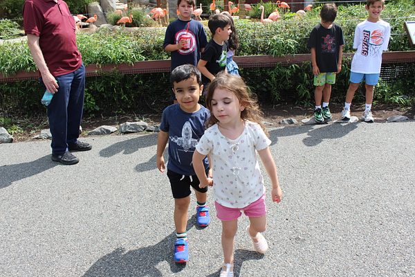 Turtle Back Zoo Outing with Dance Group photo 98