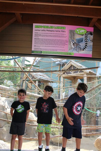 Turtle Back Zoo Outing with Dance Group photo 108