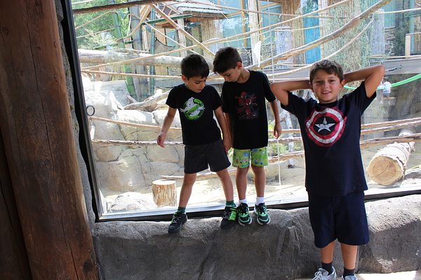 Turtle Back Zoo Outing with Dance Group photo 109