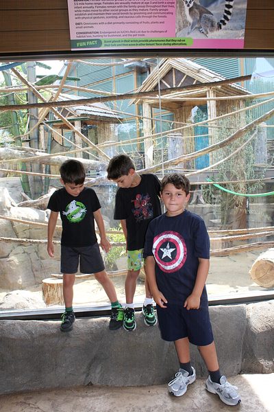 Turtle Back Zoo Outing with Dance Group photo 110