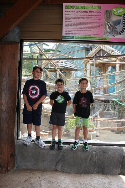 Turtle Back Zoo Outing with Dance Group photo 111