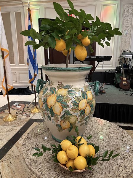 The Lemon Dance 2025 photo 12